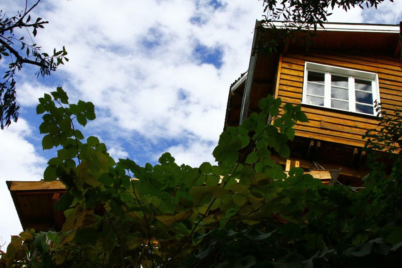 Pajaro Azul Bed and Breakfast Σαν Κάρλος ντε Μπαριλότσε Εξωτερικό φωτογραφία