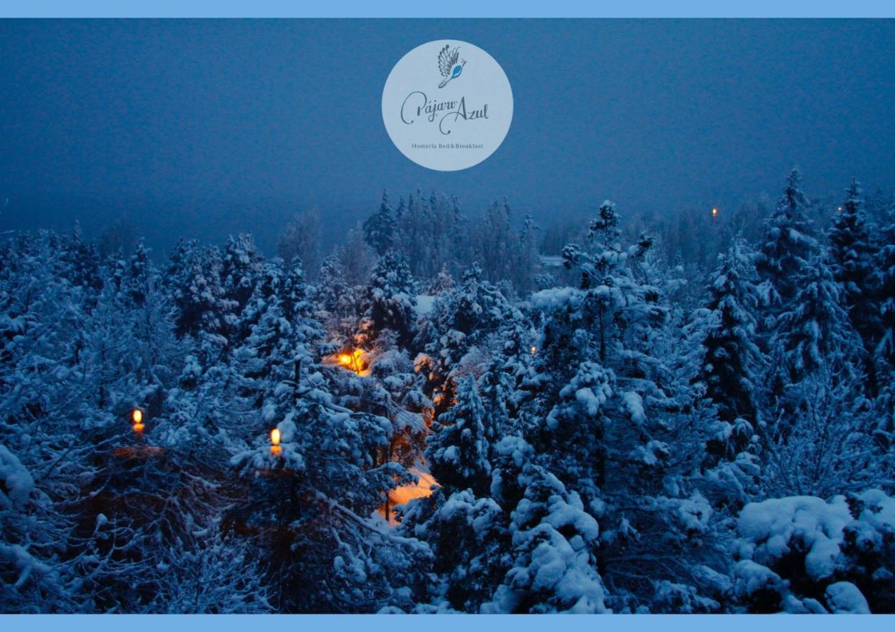 Pajaro Azul Bed and Breakfast Σαν Κάρλος ντε Μπαριλότσε Εξωτερικό φωτογραφία